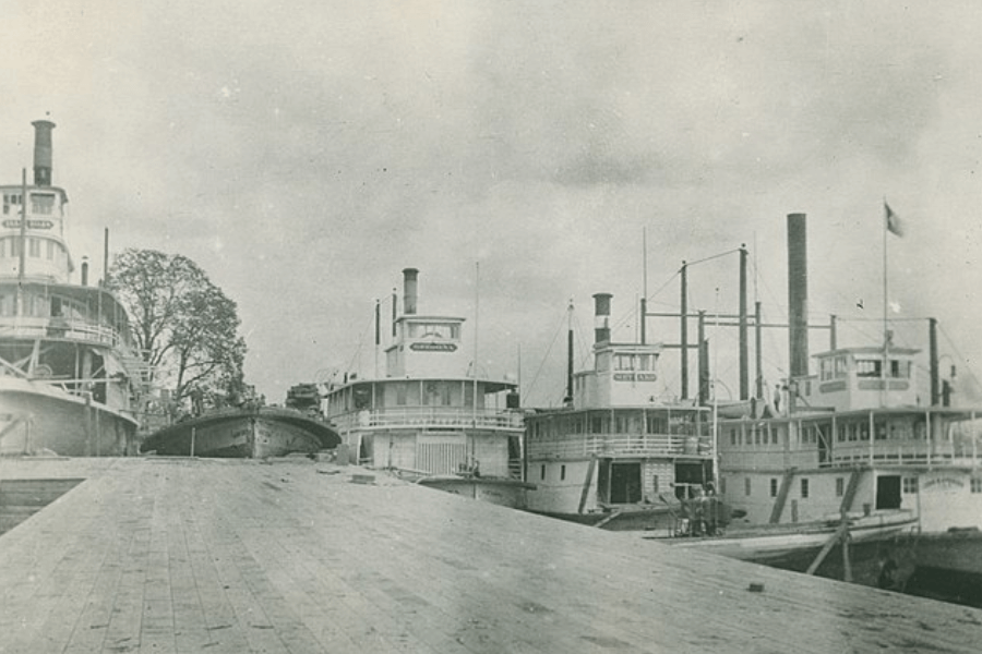 Vintage black-and-white photo of several steamboats docked side-by-side along a wooden wharf. The steamboats have tall smokestacks, multiple decks, and names like "Senator Cordill" and "General Quitman" visible on their signs. A leafless tree and a cloudy sky set the backdrop for this historical riverside scene.