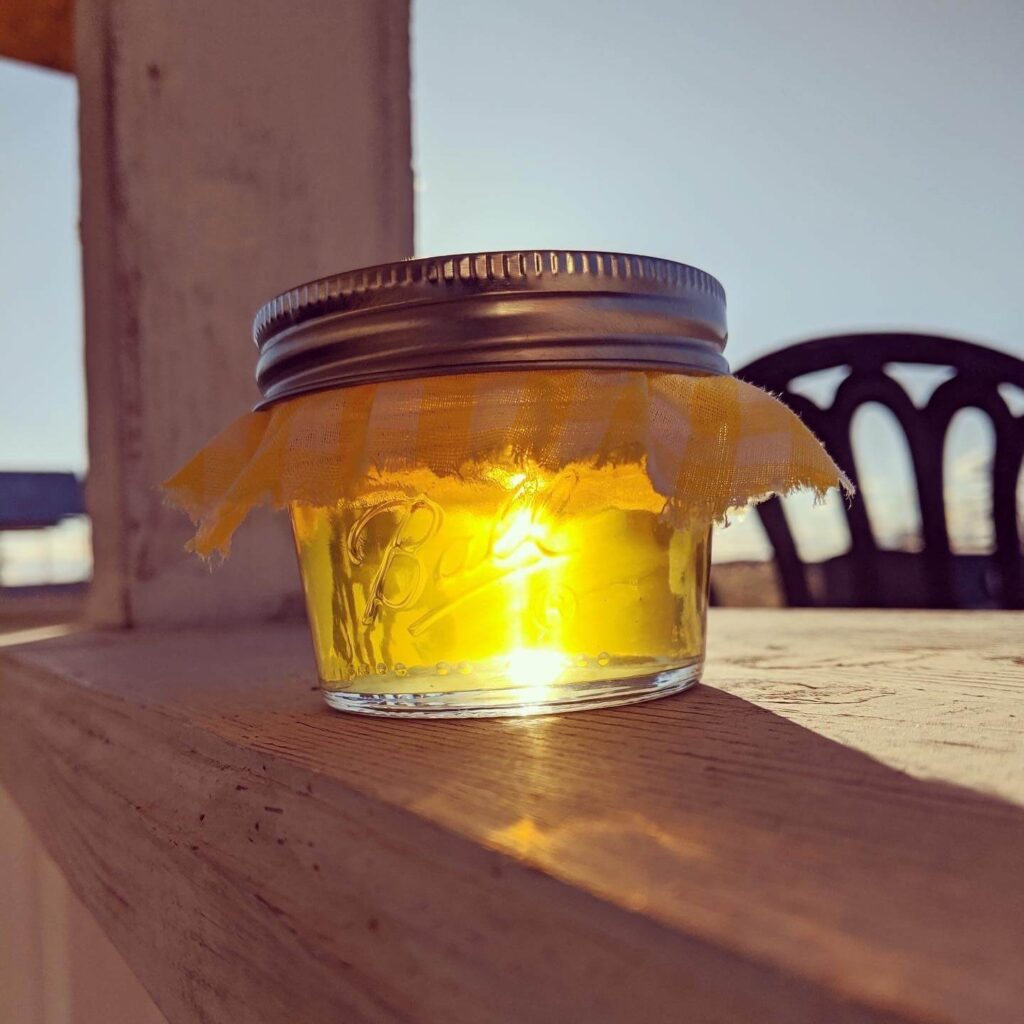 dandelion yellow jelly inside a jar